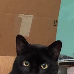 Meet your Posher, Alina